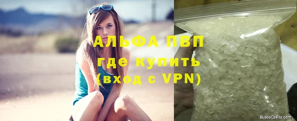 СК Алексин