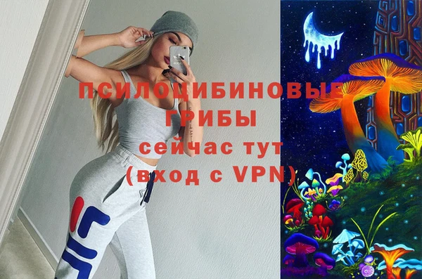 СК Алексин